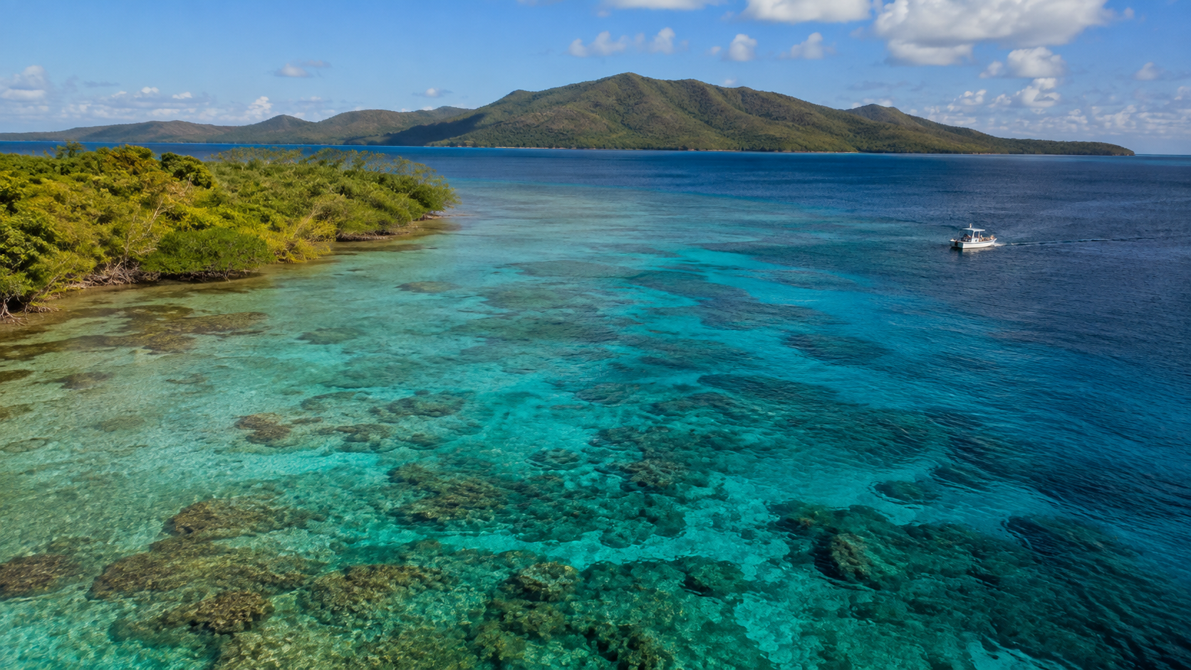 Ilustración caribeña con manglares, arrecifes de aguas turquesas y mar abierto azul