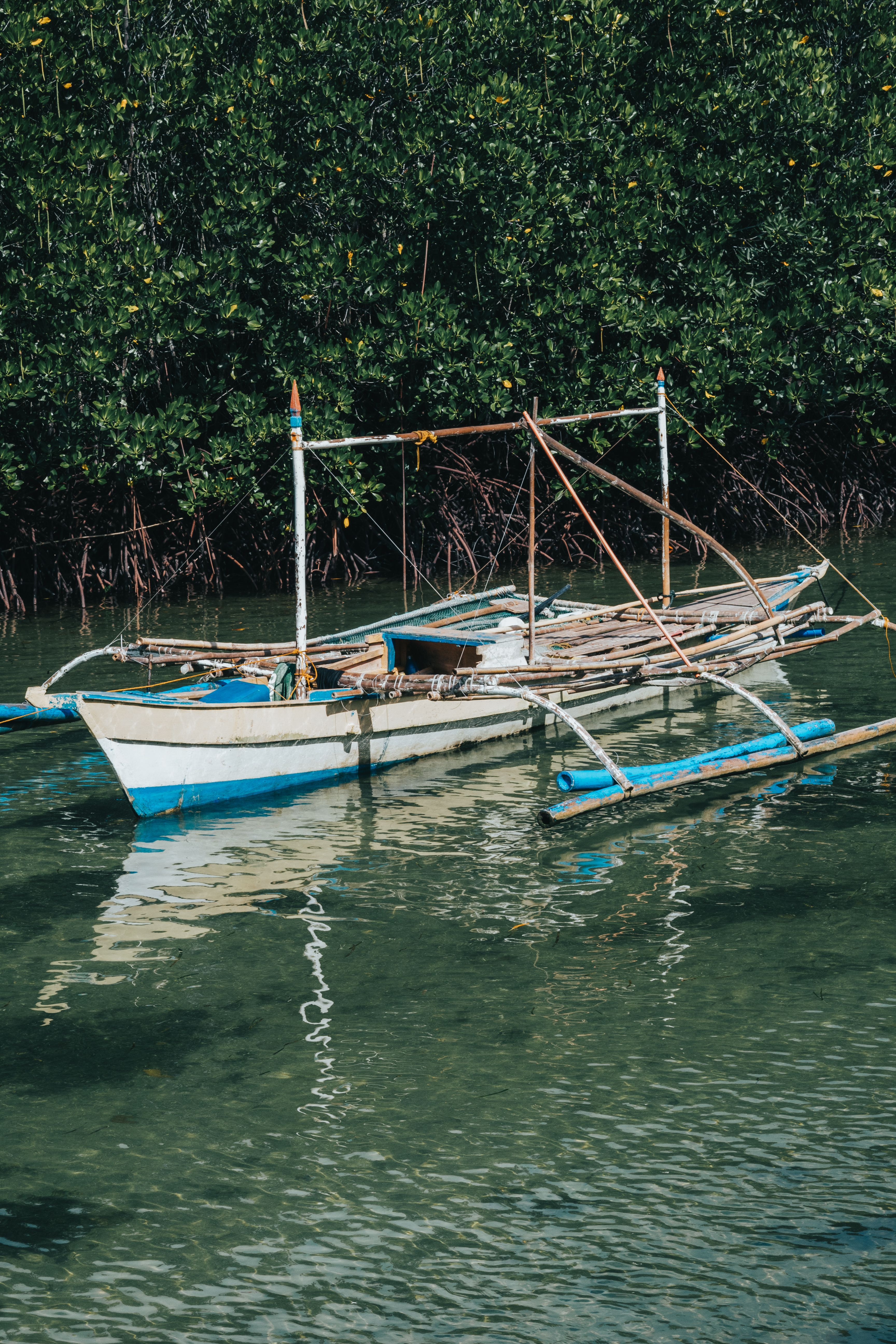 Pequeña embarcación de pesca junto a manglares densos en agua tranquila